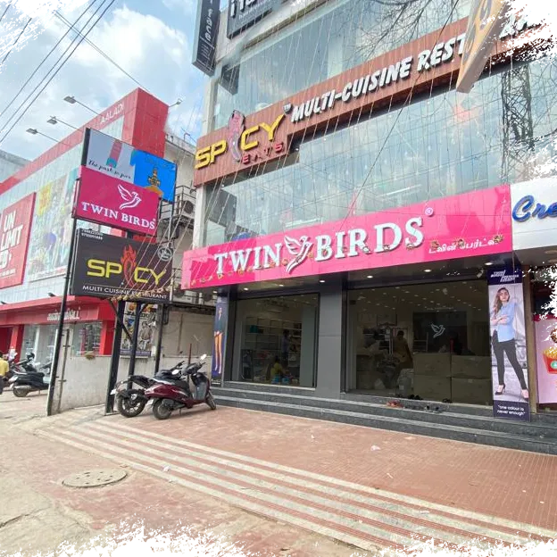 TWIN BIRDS